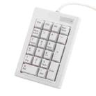 DX-21A 21-keys USB Wired Mechanical Black Shaft Mini Numeric Keyboard(White) - 2