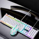 D500 RGB Brilliant Backlight Mouse and Keyboard Set (White) - 1