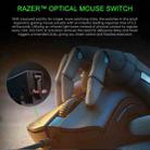 Razer DeathAdder V2 Mini 8500 DPI Optical 6-keys Programmable Wired Mouse, Cable Length: 1.8m (Black) - 4