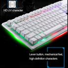 ZGB G20 104 Keys USB Wired Mechanical Feel Glowing Computer Keyboard Gaming Keyboard(Black) - 12