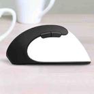 DELUX M618SE Ergonomic Vertical Wireless Mouse 1600DPI Optical Mouse (White) - 1