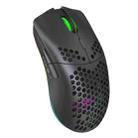 HXSJ T66 7 Keys Colorful Lighting Programmable Gaming Wireless Mouse (Black) - 1