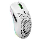 HXSJ T66 7 Keys Colorful Lighting Programmable Gaming Wireless Mouse (White) - 1