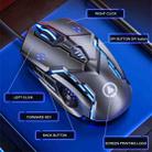 YINDIAO G5 3200DPI 4-modes Adjustable 6-keys RGB Light Silent Wired Gaming Mouse (White) - 3