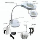 BEST Desktop Multi-function Portable Magnifying Lamp (Voltage 220V) - 7