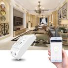 10A Single Channel WiFi Smart Switch Wireless Remote Control Module Works with Alexa & Google Home, AC 90-250V - 7
