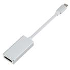 USB-C / Type-C 3.1 Male to DP Female HD Converter, Length: 12cm (Silver) - 1