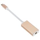 USB-C / Type-C 3.1 Male to Mini DP Female HD Converter, Length: 12cm(Gold) - 1