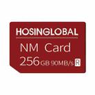 HOSINGLOBAL 90MB/s 256GB NM Card - 1