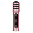 BGN-C7 Condenser Microphone Dual Mobile Phone Karaoke Live Singing Microphone Built-in Sound Card(Pink) - 1