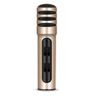 BGN-C7 Condenser Microphone Dual Mobile Phone Karaoke Live Singing Microphone Built-in Sound Card(Gold) - 1