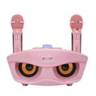 SD-306 2 in 1 Family KTV Portable Wireless Live Dual Microphone + Bluetooth Speaker(Pink) - 1