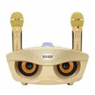 SD-306 2 in 1 Family KTV Portable Wireless Live Dual Microphone + Bluetooth Speaker(Gold) - 1
