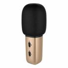 Xiaomi Youpin C1 Wired Karaoke Microphone(Gold) - 1