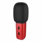 Xiaomi Youpin C1 Wired Karaoke Microphone(Red) - 1
