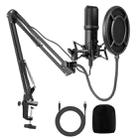 Yanmai Q10B USB Recording Microphone Kit - 1