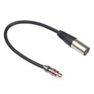 TR026K17-03 RCA Female to XLR Male Audio Cable, Length: 0.3m - 1