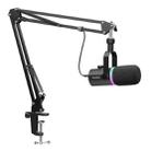 FEELWORLD PM1-AS XLR/USB Dynamic Microphone for Podcasting Recording Gaming Live Streaming with Boom Arm (Black) - 1