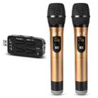 J.I.Y 2 in 1 K Song Wireless Microphones for TV PC with Audio Card USB Receiver and LED Display (Gold) - 1