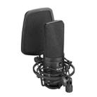 BOYA BY-M1000 Professional Recording Studio Cardioid Omnidirectional Switchable Microphone - 2