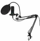 BM-65 Heart-shaped Pointing USB Condenser Microphone Cantilever Bracket Set - 1