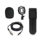 BM-800 Back Pole Large-diaphragm Condenser Microphone Set (Black) - 1