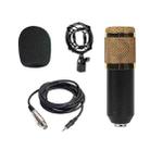 BM-800 Back Pole Large-diaphragm Condenser Microphone Set (Gold) - 1