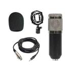 BM-800 Back Pole Large-diaphragm Condenser Microphone Set (Silver) - 1