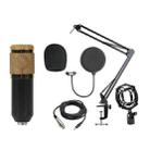 BM-800 Back Pole Large-diaphragm Condenser Microphone Cantilever Bracket Set (Gold) - 1