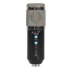 BM-858 Large-diaphragm Condenser Microphone Set (Silver) - 1