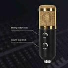 BM-838 Large-diaphragm USB Condenser Microphone Cantilever Bracket Set (Gold) - 5