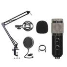 BM-838 Large-diaphragm USB Condenser Microphone Cantilever Bracket Set (Silver) - 1