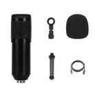 BM-828 Back-pole Diaphragm USB Condenser Microphone Set (Black) - 1