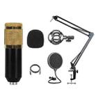 BM-828 Back-pole Diaphragm USB Condenser Microphone Cantilever Bracket Set (Gold) - 1