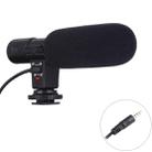 MIC-02 30-18000Hz Rate Sound Clear Stereo Microphone for Smartphone, Cable Length: 28cm - 1