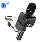 JOYROOM JR-MC3 Wireless Bluetooth External K Song Microphone, Supports TF Card with Holder(Black) - 1