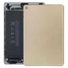 Battery Back Housing Cover for iPad mini 4 (Wifi Version)(Gold) - 1