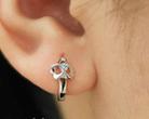 Stud Earrings Ear Buckle Female (Specification: Shiny Clover) - 1
