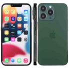 For iPhone 13 Pro Color Screen Non-Working Fake Dummy Display Model(Dark Green) - 1