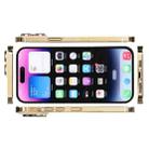For iPhone 14 Pro Max Color Screen Non-Working Fake Dummy Display Model (Gold) - 3