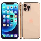 For iPhone 12 Pro Color Screen Non-Working Fake Dummy Display Model(Gold) - 1
