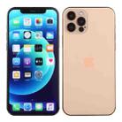 For iPhone 12 Pro Color Screen Non-Working Fake Dummy Display Model(Gold) - 2