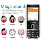 SERVO V9500 Mobile Phone, Russian Key, 2.4 inch, Spredtrum SC6531CA, 21 Keys, Support Bluetooth, FM, Magic Sound, Flashlight, GSM, Quad SIM(Silver) - 7