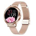 MK20 1.09 inch IPS Color Screen IP67 Waterproof Smart Watch, Support Sleep Monitoring / Heart Rate Monitoring / Blood Pressure Monitoring / Multi-sports Mode, Style: Steel Strap (Gold) - 1