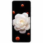 Honor Magic V Flip, 12GB+256GB, 6.8 inch + 4.0 inch Screen MagicOS 8.0 Snapdragon 8+ Gen 1 Octa Core, Network: 5G, NFC, OTG (Black) - 2