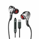 WK Black Gold Series YC06 USB-C/Type-C HIFI Sound Quality Wired Headphones(Tarnish) - 1
