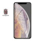 For iPhone XS Max / iPhone 11 Pro Max Matte Frosted Tempered Glass Film - 1