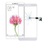 For Xiaomi  Max 0.26mm 9H Surface Hardness Explosion-proof Silk-screen Tempered Glass Full Screen Film(Silver) - 1