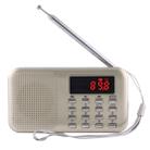 Y-896 Portable Stereo LCD Digital FM AM Radio Speaker, Rechargeable Li-ion Battery, Support Micro TF Card / USB / MP3 Player - 1