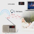 Y-896 Portable Stereo LCD Digital FM AM Radio Speaker, Rechargeable Li-ion Battery, Support Micro TF Card / USB / MP3 Player - 7